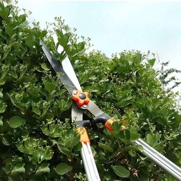 Household Lawn Hedge Scissors